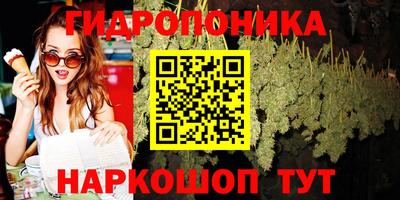 соль ск Обнинск
