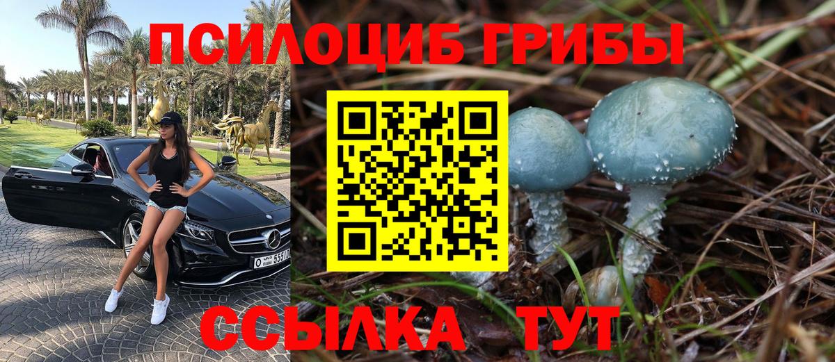 Шатура  Галлюциногенные грибы Psilocybine cubensis  Вход с VPN  Псилоцибиновые грибы Cubensis 